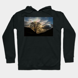 Sycamore Gap Silhouette Hoodie